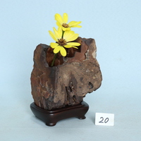 九十九島壷石[251220]