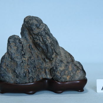 太田川石[260211]