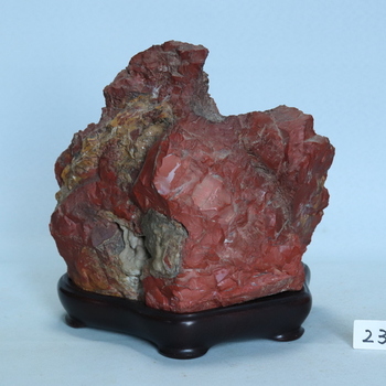 佐渡赤石[260223]