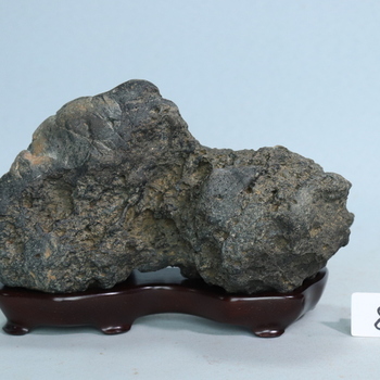 加茂川石[260408]