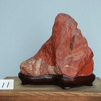 佐渡赤石[260411]