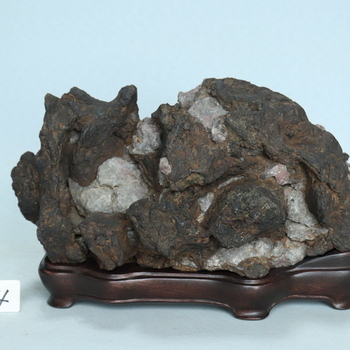 加茂川石[260414]